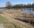 Donau bei Joshofen